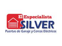 Especialistas Silver